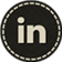 LinkedIn Logo